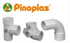 pinoplas